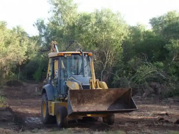 Ambientalistas alertan sobre desmontes en Bovril  