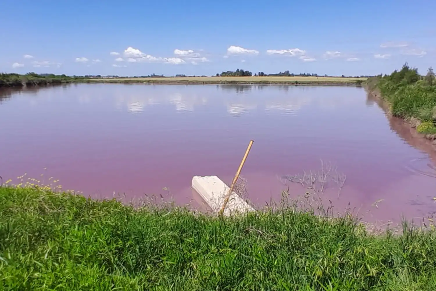 Ambiente provincial analiza la coloración del arroyo Espinillo y apunta a un proceso biológico