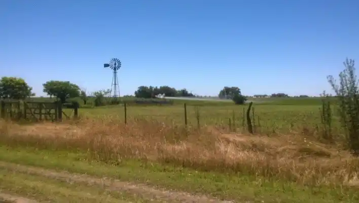 Fumigaron la escuela Nº44 “República Argentina”