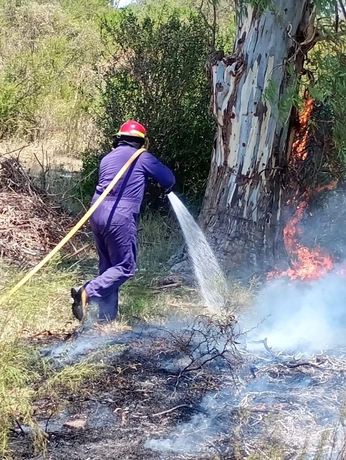 Alerta extrema por riesgo de incendios: múltiples focos obligaron a los bomberos a intervenir en varias zonas