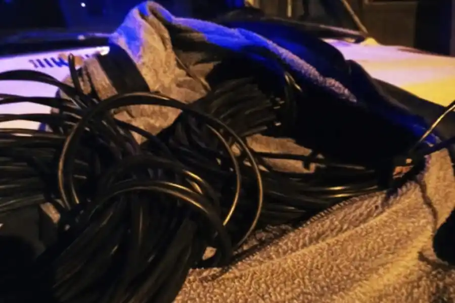 La historia sin fin: atraparon a un joven de 18 años con una tenaza y cables robados