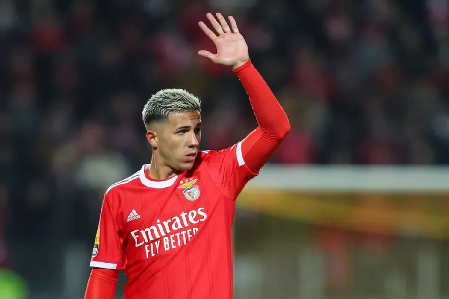 Confirmado su traspaso a Chelsea, Enzo Fernández se despidió de Benfica con un emotivo posteo