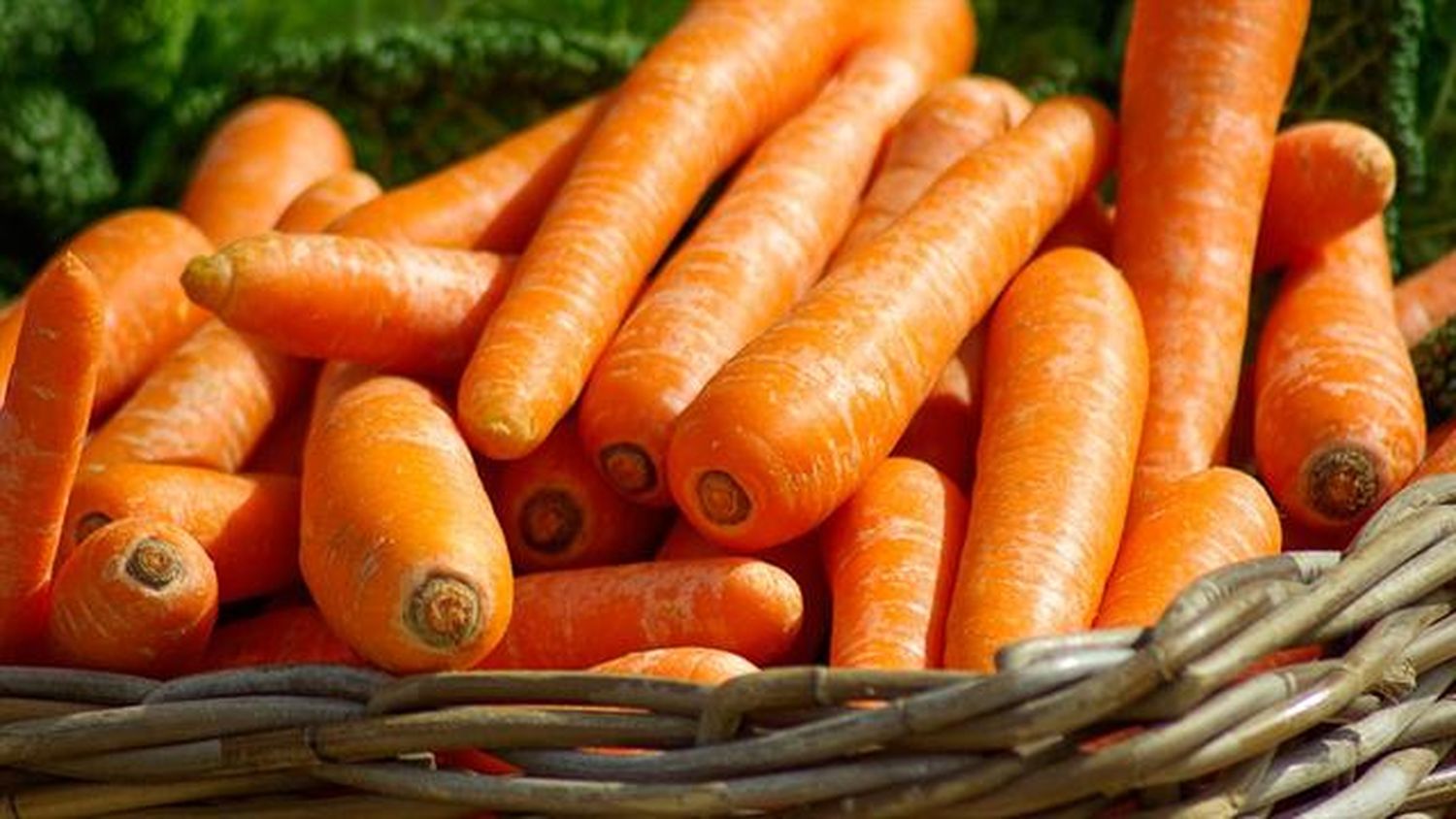 Bioquioscos: productos saludables en polideportivos municipales