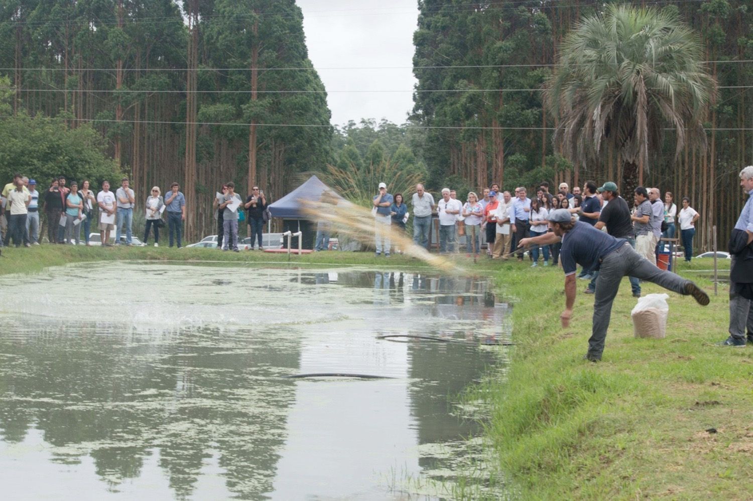 Se viene Feripez, un encuentro para a conocer sobre producción de peces en Concordia