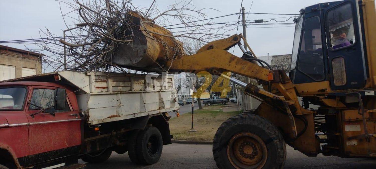 Intenso trabajo de las cuadrillas de espacios públicos