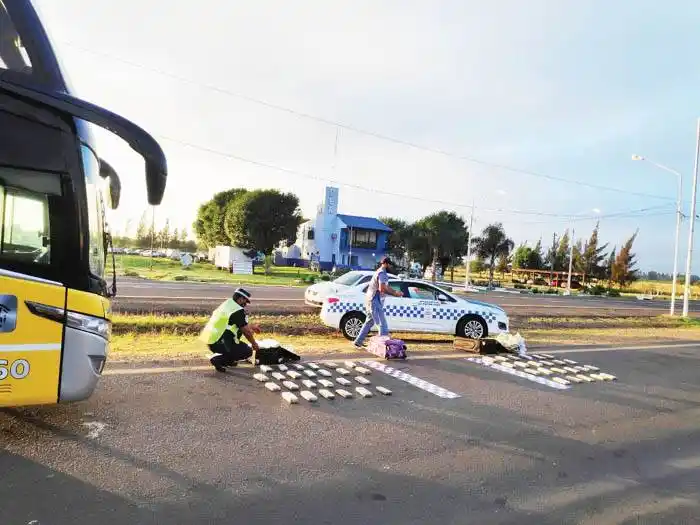 Secuestran drogas en un colectivo de larga distancia