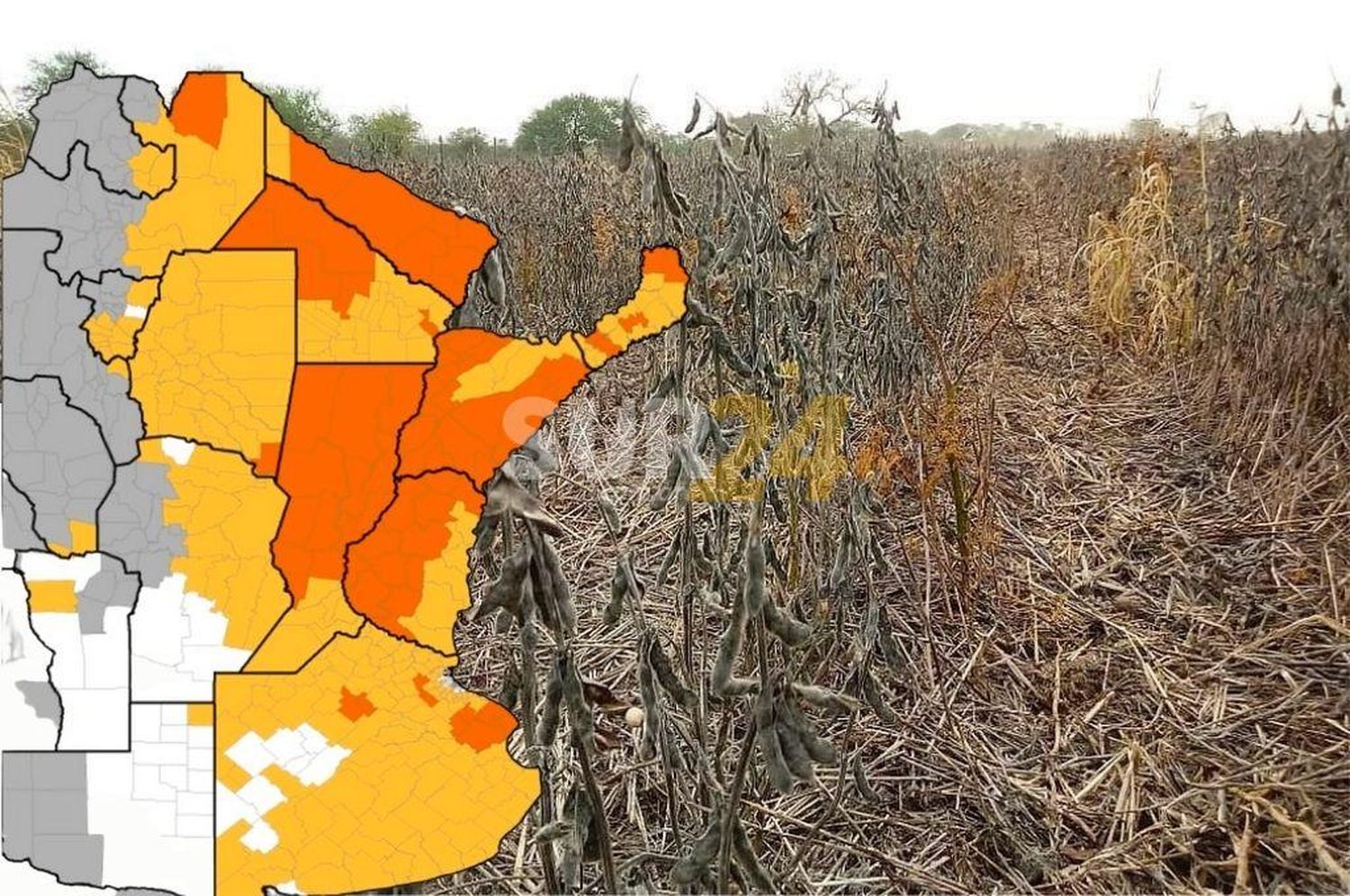 Santa Fe, entre las provincias más afectadas por el déficit hídrico 