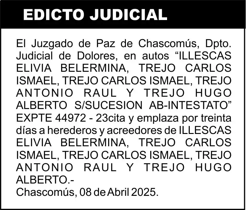 ILLESCAS ELIVIA BELERMINA, TREJO CARLOS ISMAEL, TREJO CARLOS ISMAEL, TREJO ANTONIO RAUL Y TREJO HUGO ALBERTO S/SUCESION AB-INTESTATO