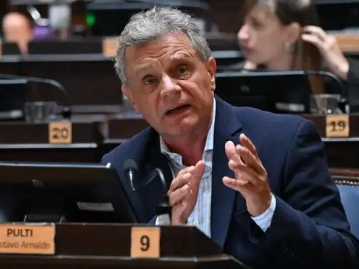 El diputado Gustavo Pulti.