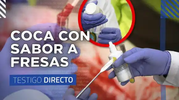 Así un grupo de narcos logra “exportar” cocaína líquida desde Colombia – Testigo Directo