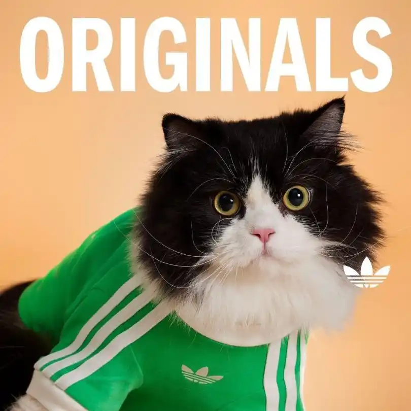 La marca alemana Adidas volvió a expandir su universo más allá del deporte con el lanzamiento de una colección de “streetwear” especialmente diseñada para mascotas.