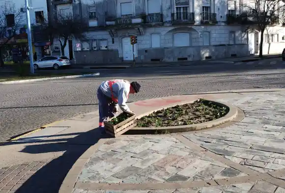 Nueva entrega de plantines para seguir embelleciendo los espacios públicos
