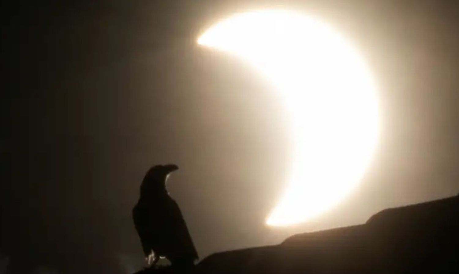 Un cuervo se posa sobre un techo durante un eclipse solar parcial en Nairobi, Kenia.