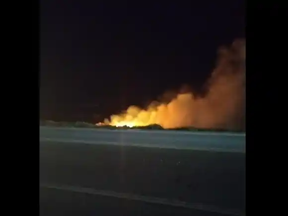 Incendio en la reserva del Paseo Costanero Sur: vecinos denuncian un “negocio detrás del fuego”