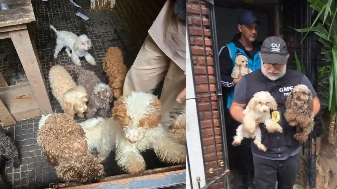 El allanamiento fue realizado en un inmueble de la calle Arrotea al 600.