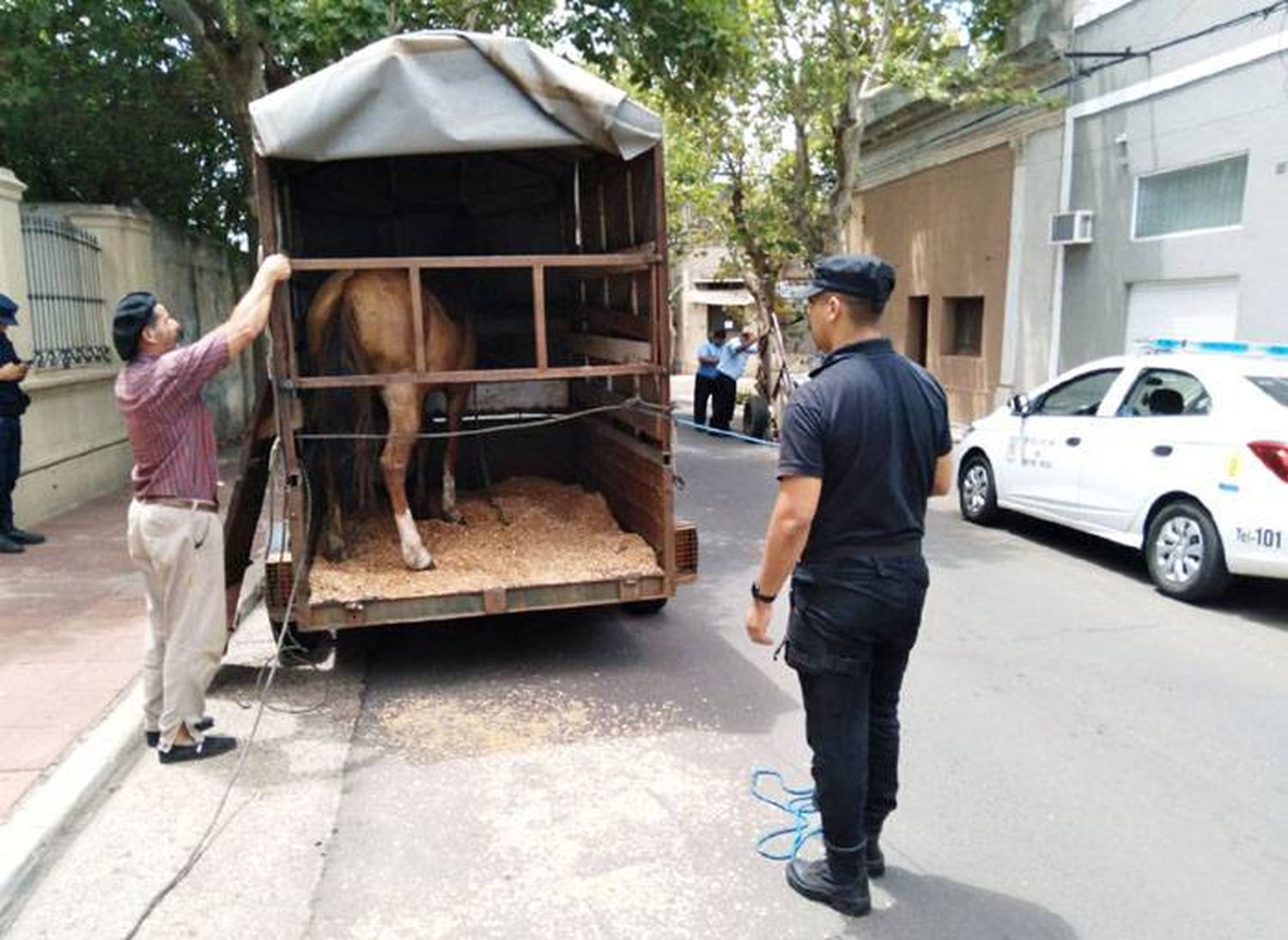 Continúan los trabajos para evitar el maltrato animal