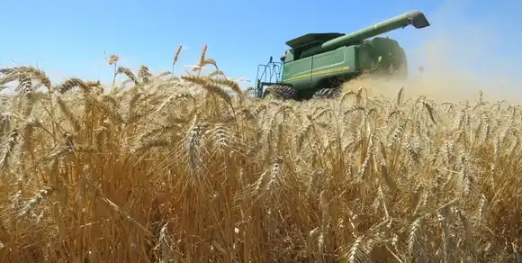 La carga tributaria al campo continúa alta a pesar de la baja en retenciones