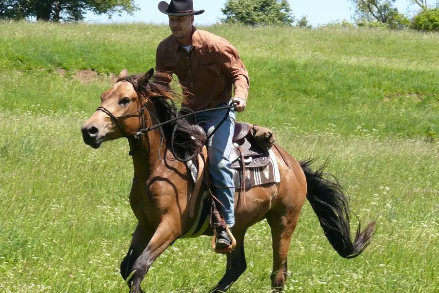 Un joven jinete terminó con graves heridas tras ser pisado por un caballo