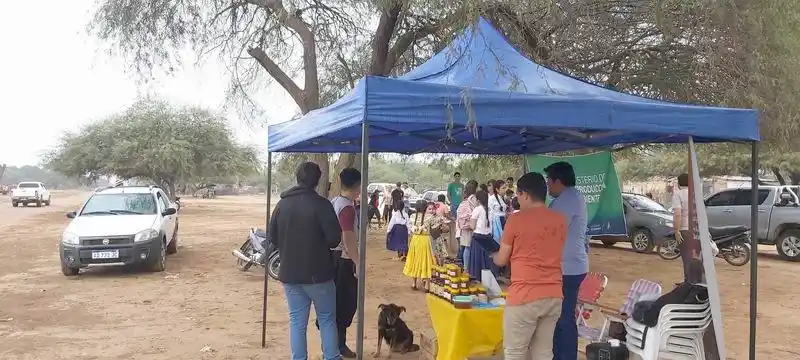 Preparan feria apícola y ganadera en Lote 8