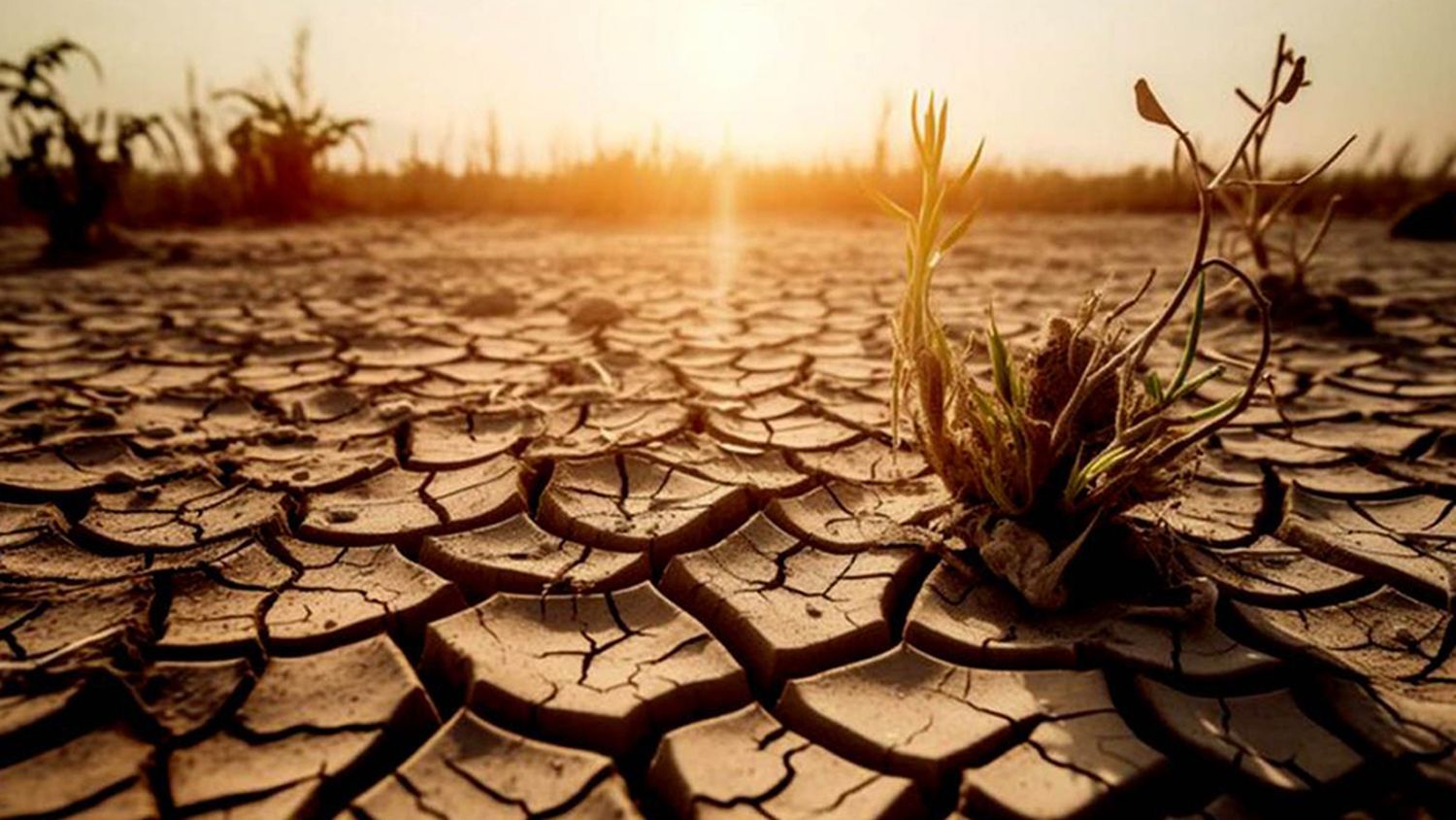 El 50% de los argentinos cree que todavía hay tiempo para frenar el cambio climático