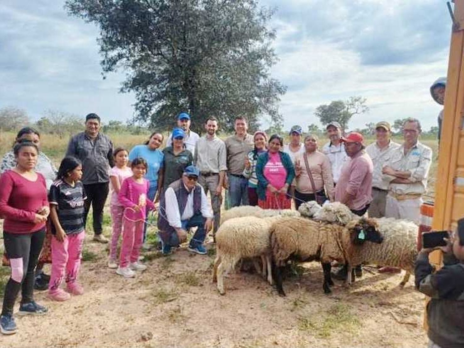 Entregaron reproductores ovinos a la
comunidad Qoom Le’ec de Ingeniero Juárez