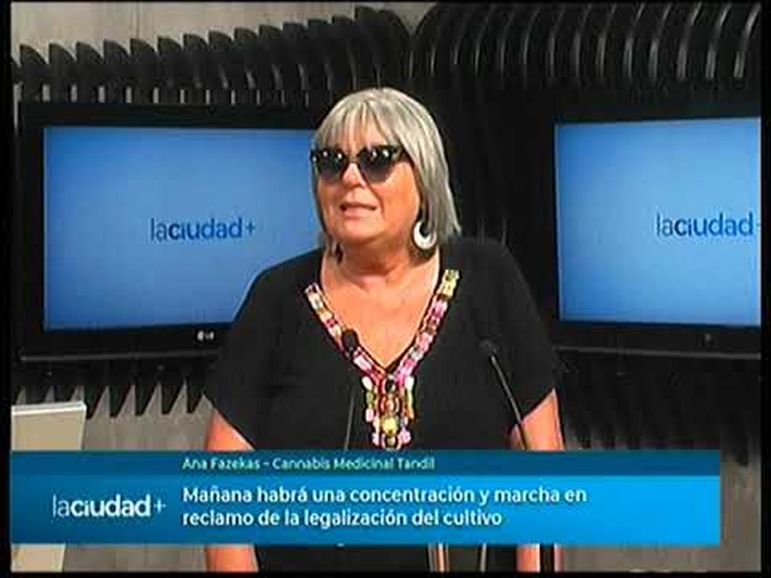 Movilización y marcha en el Día Nacional de la Marihuana | La Ciudad