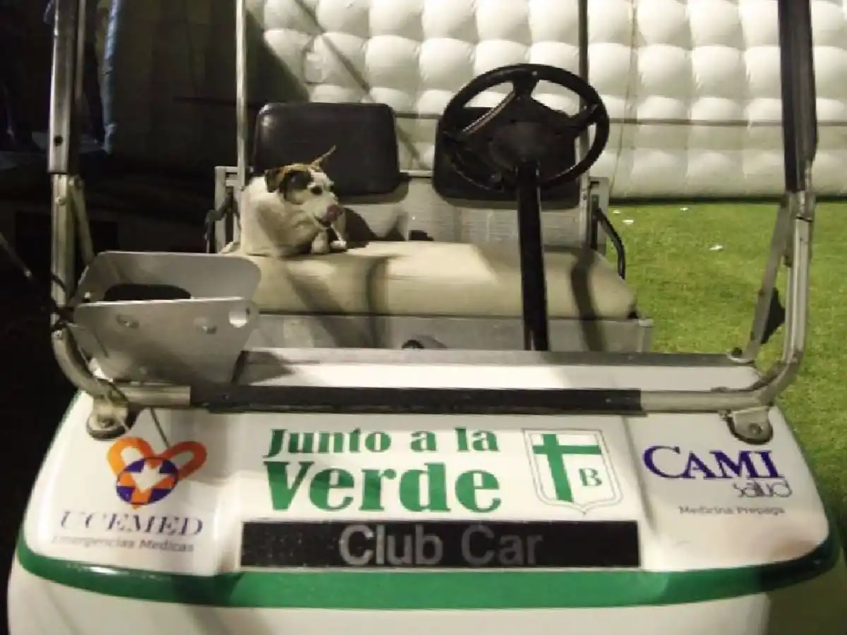 Las mascotas ahora también pueden ser socias de la "verde"