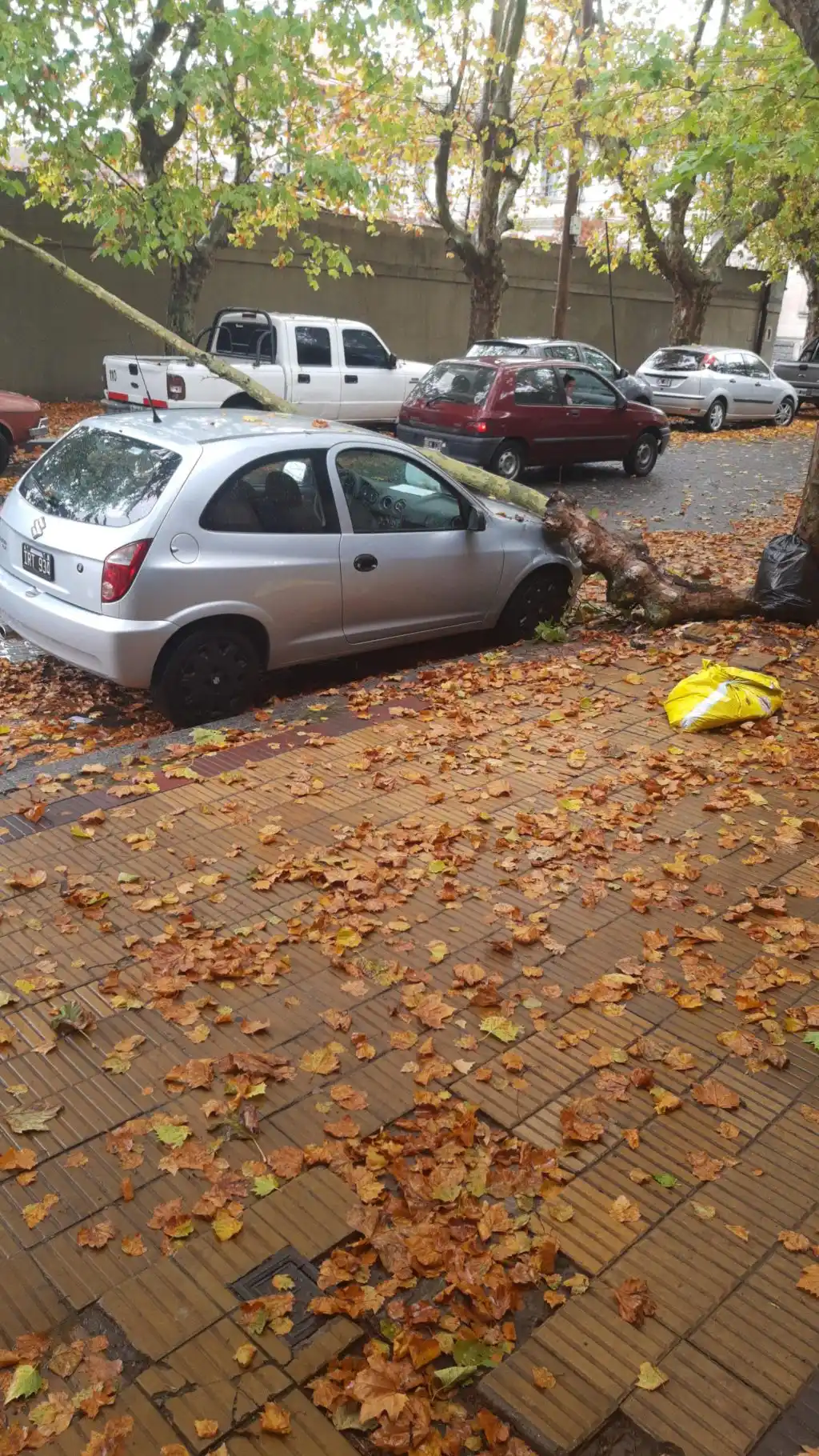 No se queje si no se queja