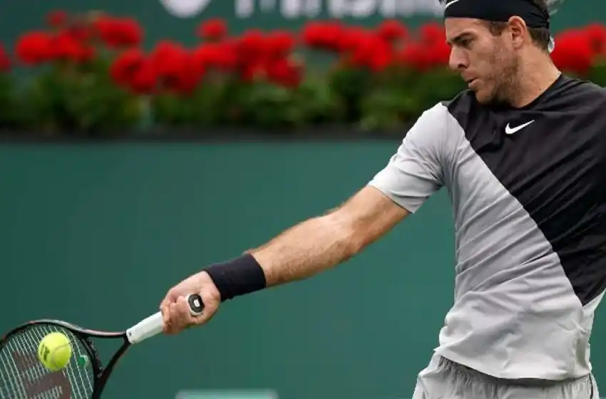 Delpo juega su pasaje a semifinales