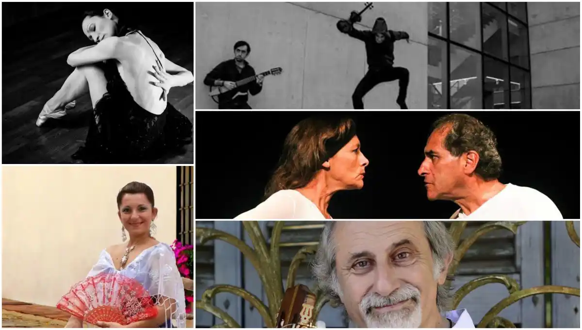 Actividades de Cultura Mar del Plata