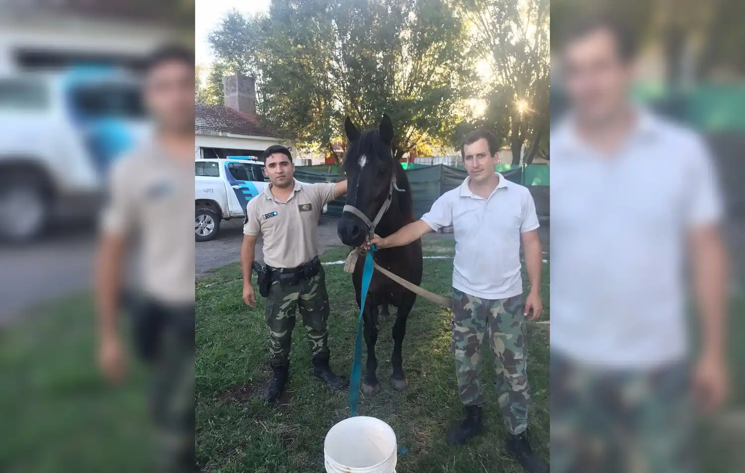 Río Tala: recuperan caballos robados en la zona rural