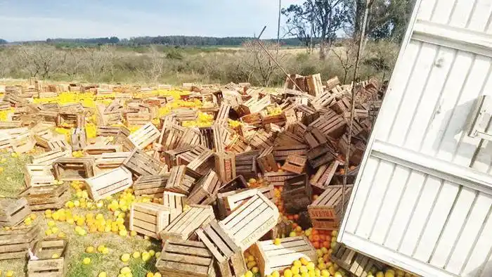 El acoplado de un  camión cargado con frutas cítricas volcó  en la autovía 14