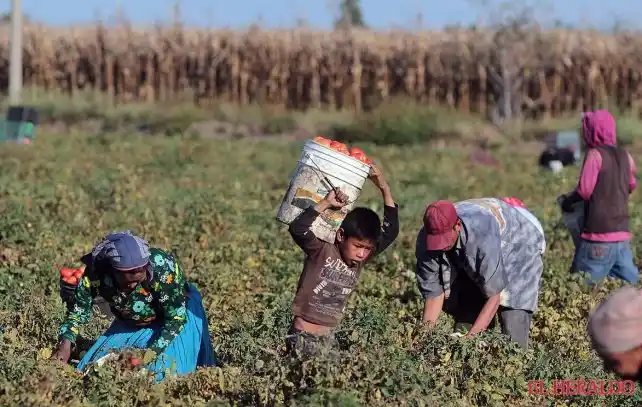 Hay casi 46 millones de personas esclavas en el mundo