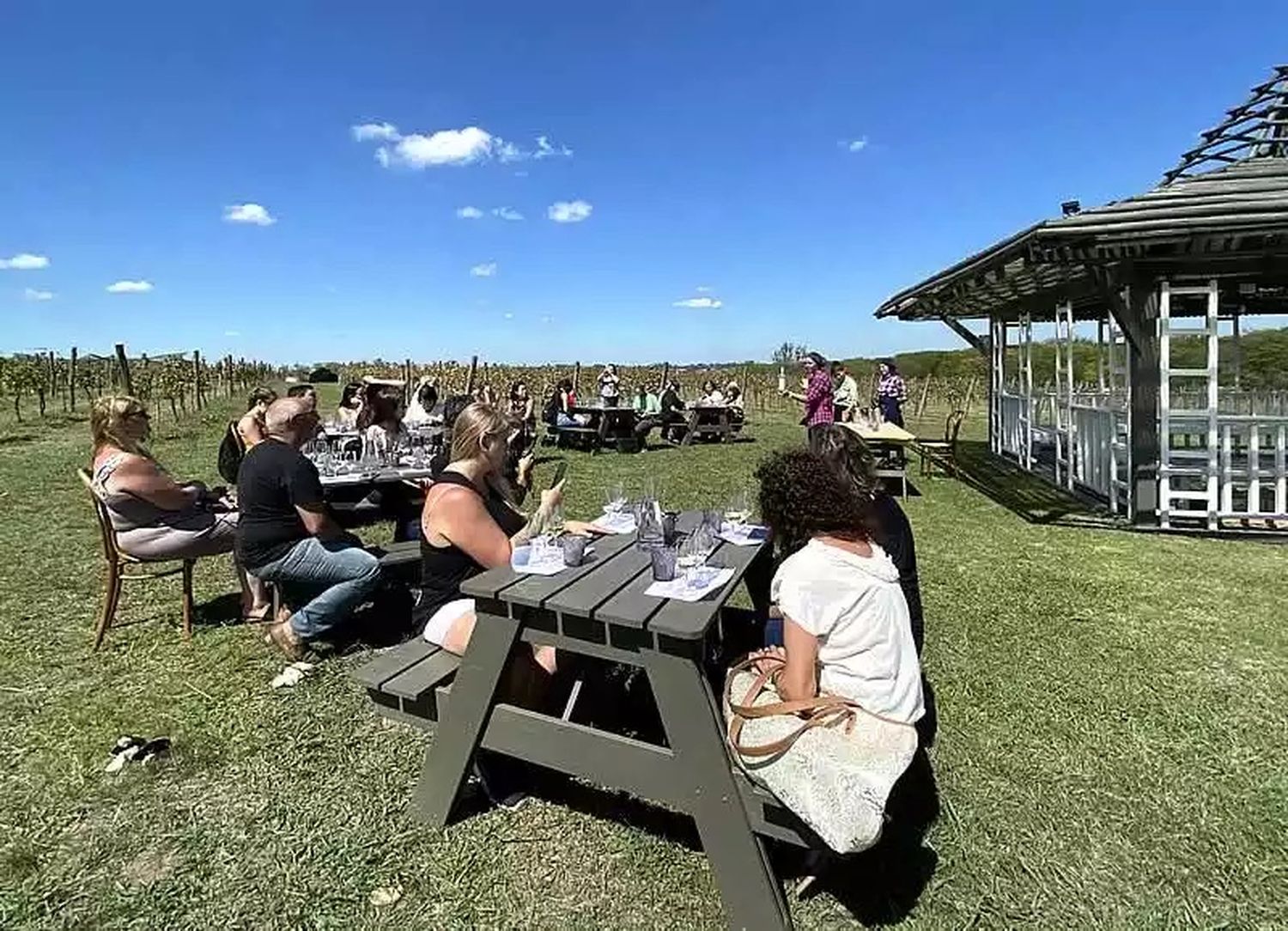 Turismo de Bodegas: Tres opciones bonaerenses con visitas guiadas o alojamiento en casa de campo