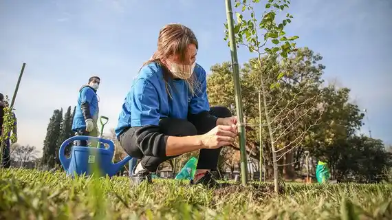 El país perdió el 70 por ciento de sus bosques nativos y la reforestación se torna un ejercicio esencial