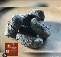 Presentaron Biobriquetas naturales 100% ecológicas