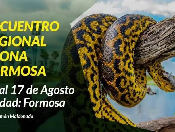 Se lanzó el Encuentro Regional AFONA Formosa