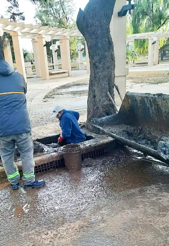 Rápida recuperación de la costanera