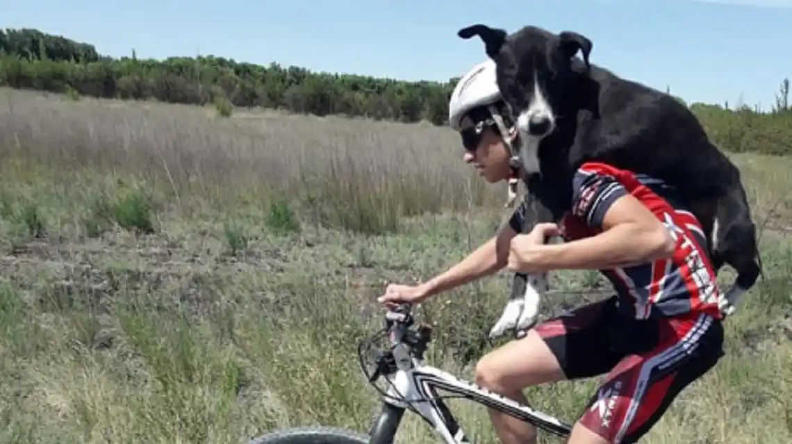 La Rioja: ciclistas rescataron a un perro