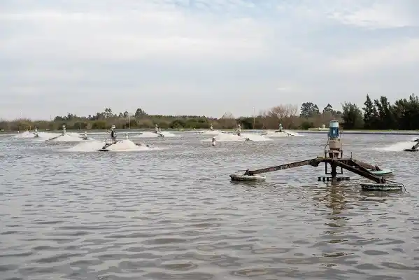 Anunciaron la audiencia pública por la obra de saneamiento integral en la ciudad