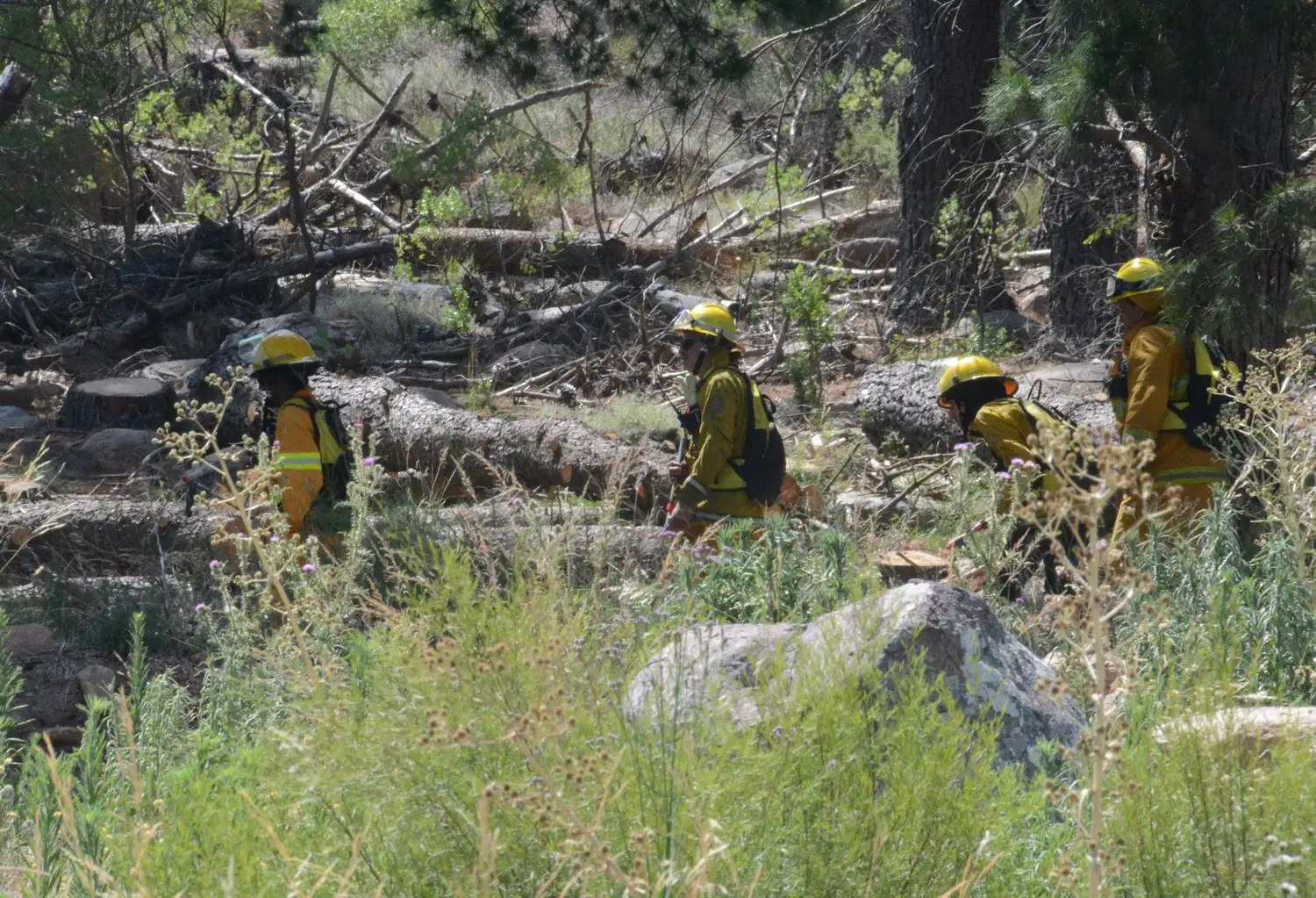 En el lugar quedará una guardia de cenizas para monitorear un posible reinicio del fuego, aunque las posibilidades son muy bajas.