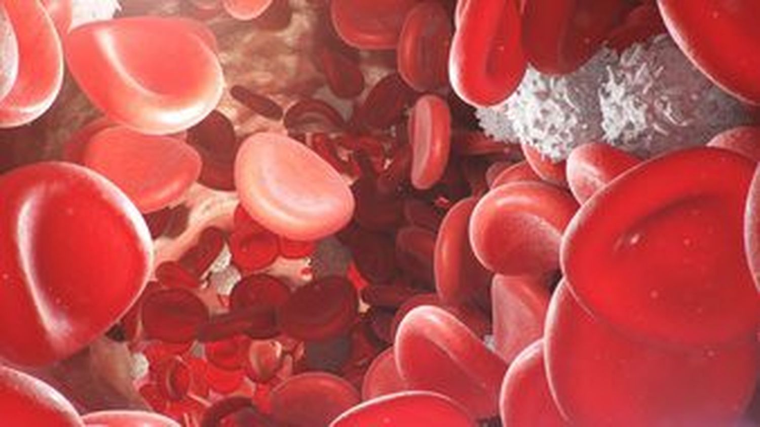 Descubren cómo prevenir el envejecimiento del cerebro a partir de una proteína en glóbulos rojos