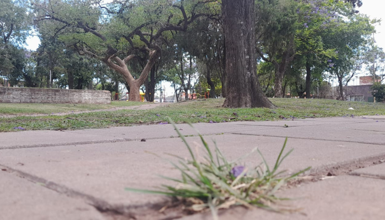 Así está la plaza Martín Fierro