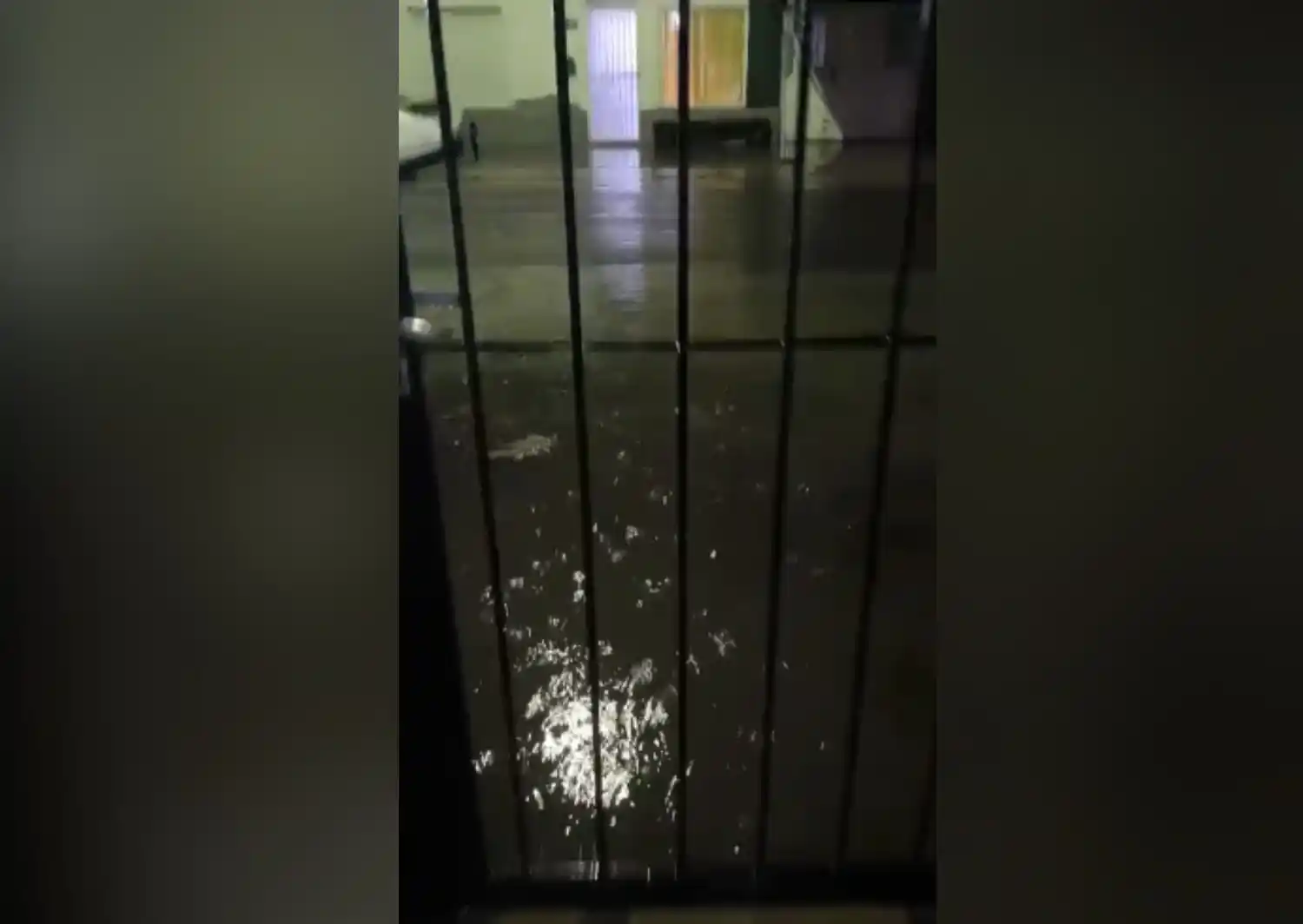 Martín Fierro al 700: caen dos gotas y el agua adentro de mi casa