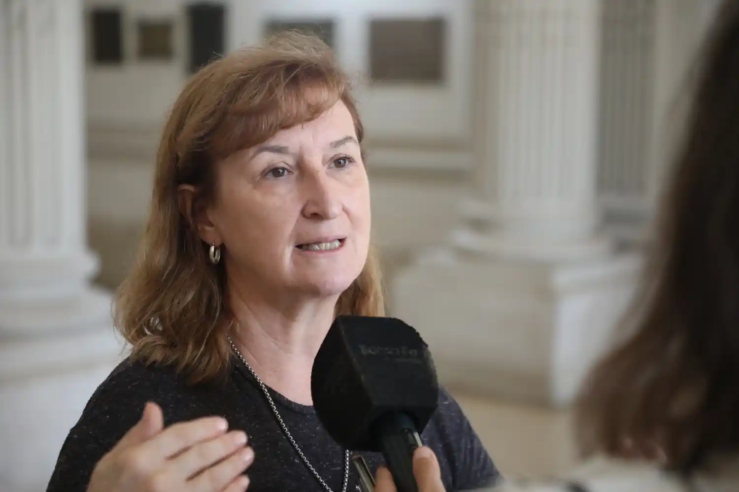 La secretaria de Salud de la provincia, Andrea Uboldi, brindó el informe epidemiológico.