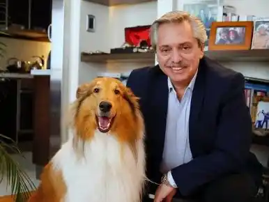 Murió Dylan, el perro de Alberto Fernández