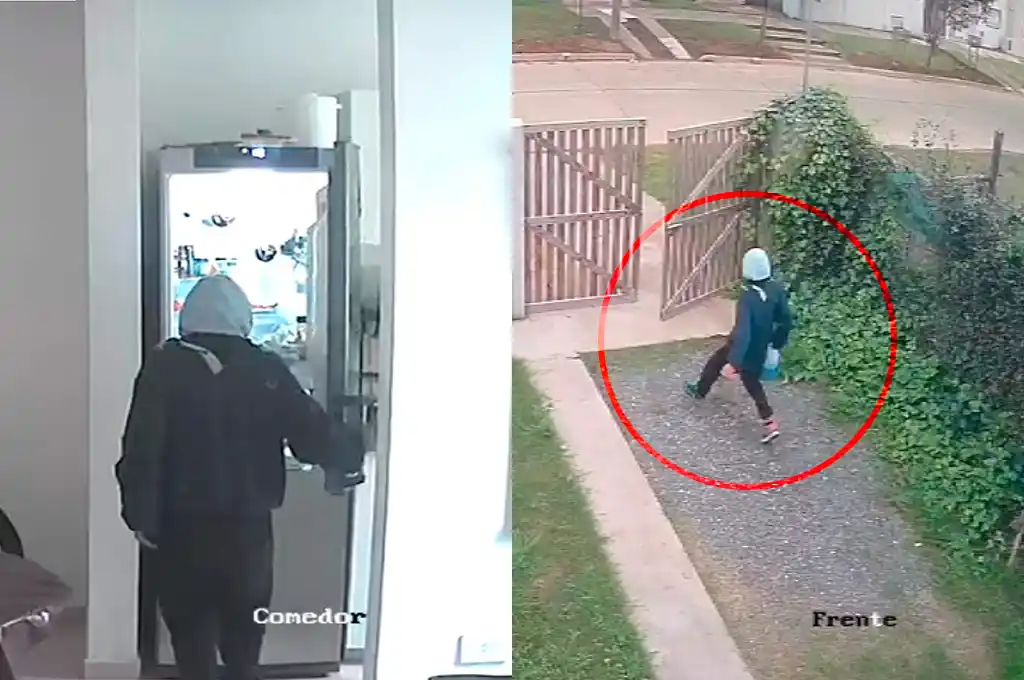 VIDEO | “Vio luz y pasó”: un ladrón se metió a una casa, revisó todo y se llevó un insólito objeto