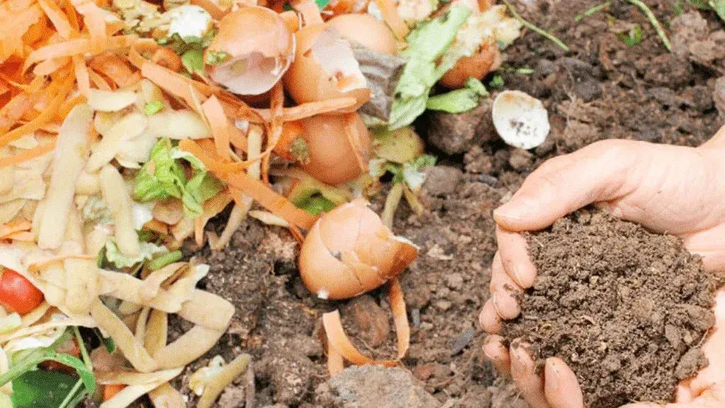 Nueva jornada de compostaje y entrega de plantines a adultos mayores