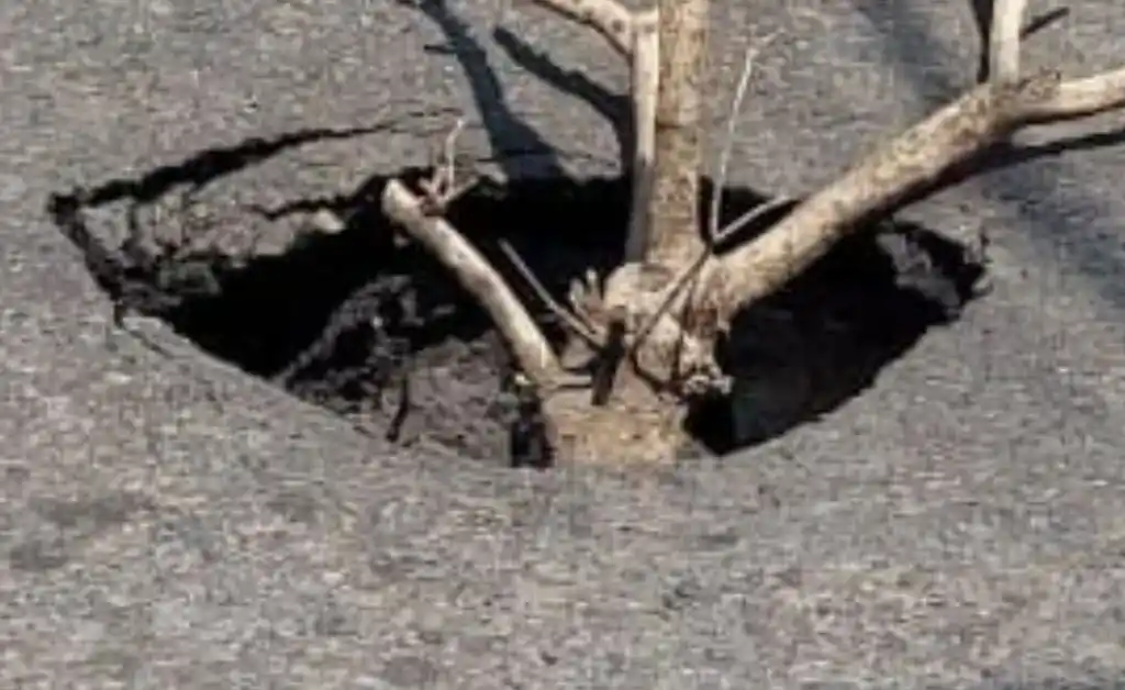 Alerta vial en barrio Candioti Sur: un profundo pozo puede causar una desgracia