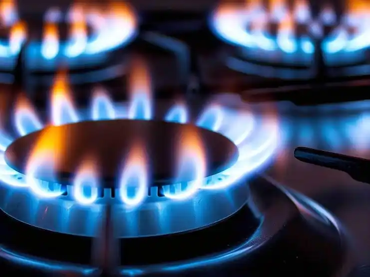 El Gobierno inició una investigación a una parte del negocio del gas ...